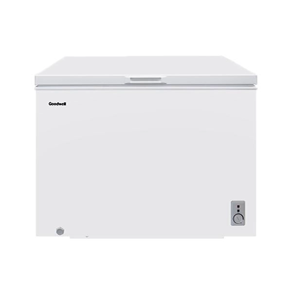 Морозильник Goodwell GW-CF400W2 купить