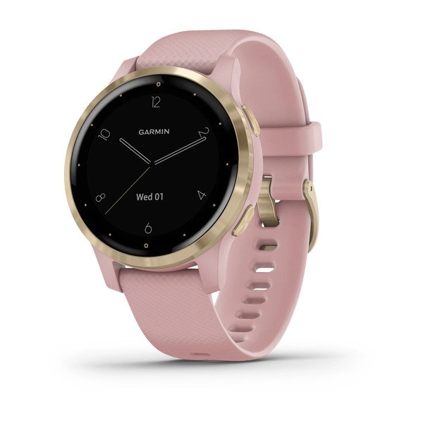 Смарт часы Garmin VIVOACTIVE 4S Light Gold Stainless Steel Bezel with Dust Rose Case and Silicone Band купить