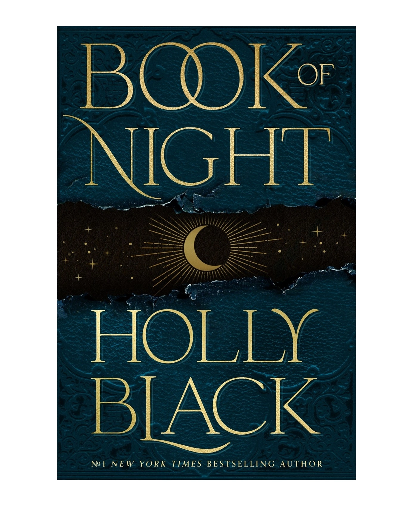 Holly Black: Book of Night купить