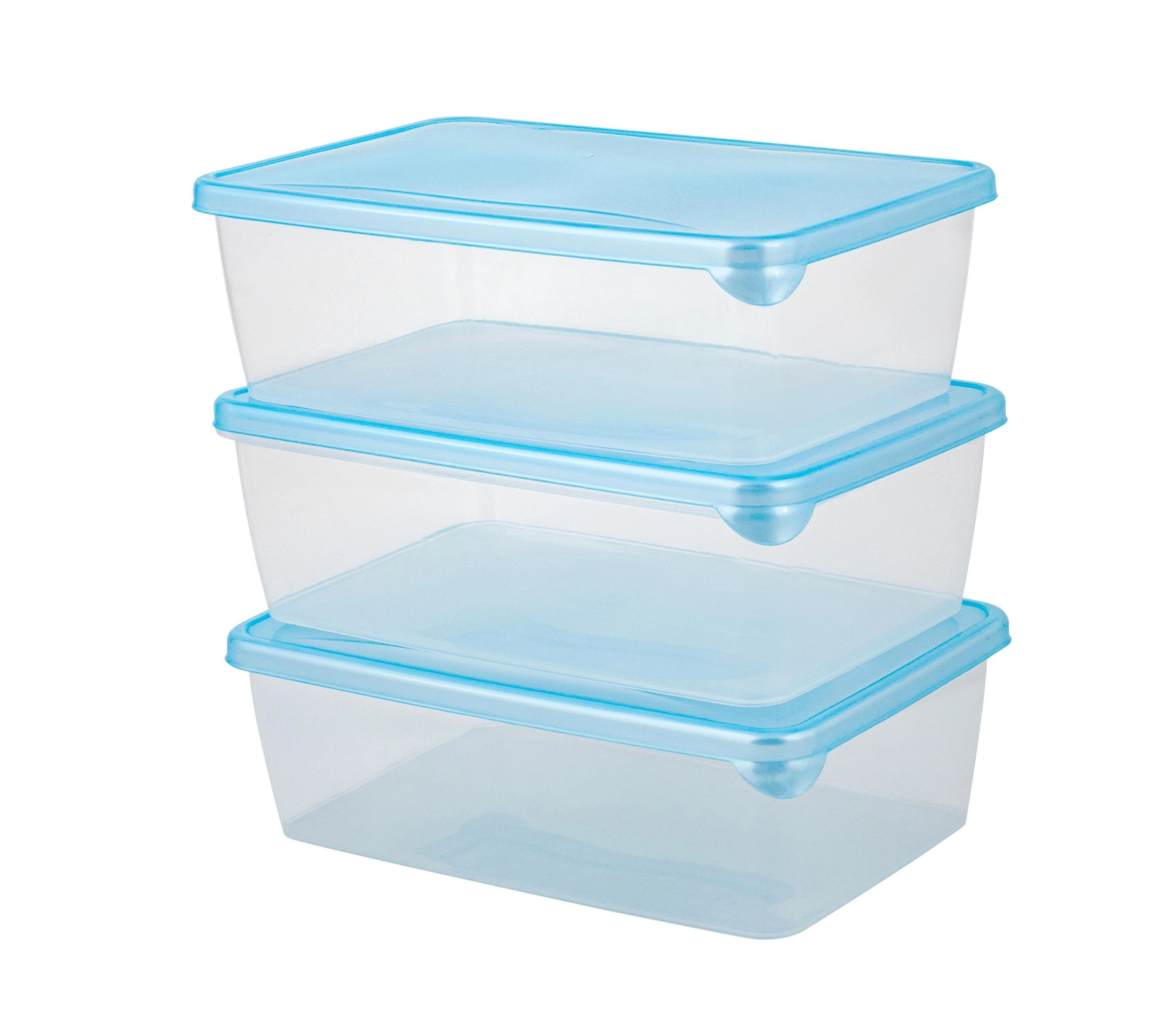 Набор контейнеров для заморозки Sugar&Spice, 3х1,35л, 3 шт., 204х140х105 купить