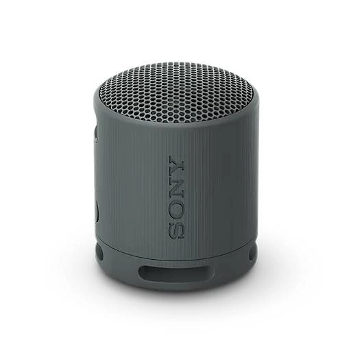 Портативная акустика Sony SRS-XB100 черный купить