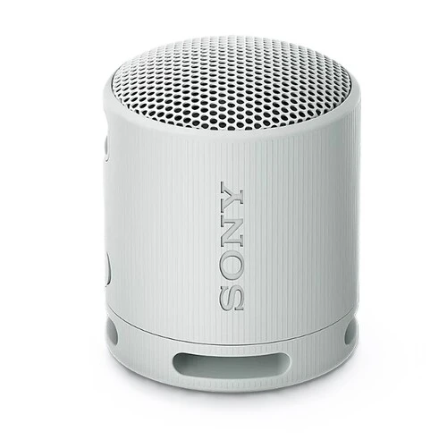 Портативная акустика Sony SRS-XB100 серый купить