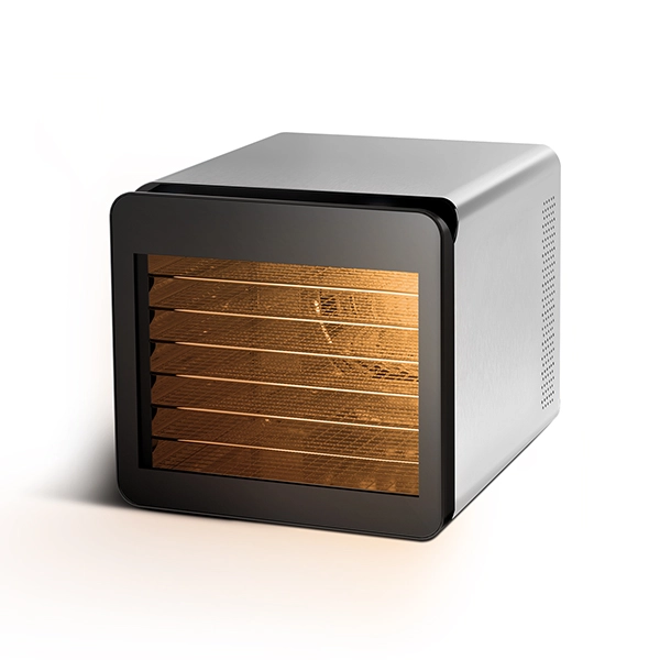 BQ FD1006 Black-Steel sabzavot va mevalar quritgichi sotib olish