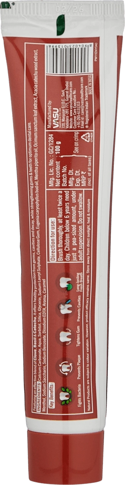 Зубная паста Dentup Herbal Toothpaste - Clove (100 г) недорого