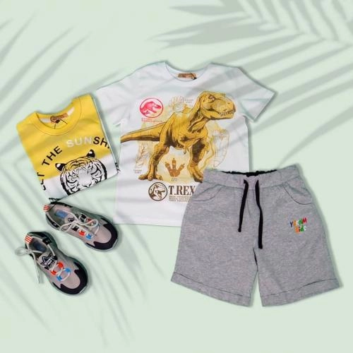 YSK 11116 (Gray) shortigi sotib olish