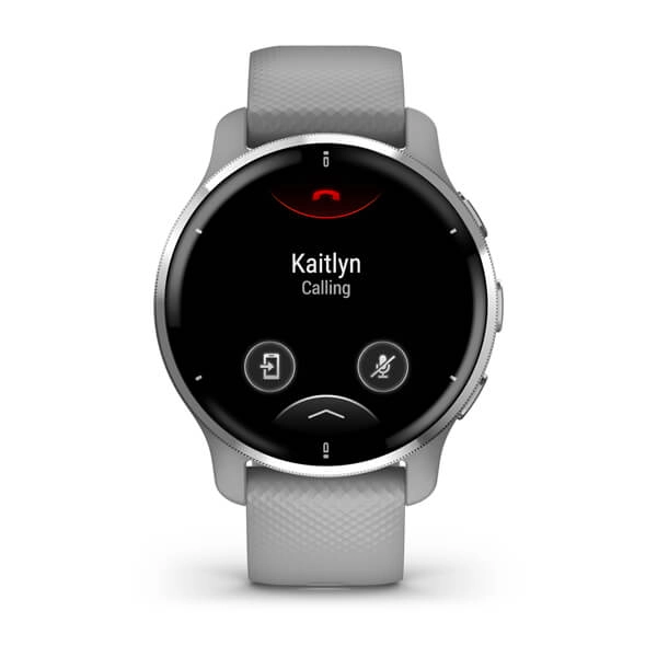 Смарт часы Garmin VENU 2 PLUS Gray недорого