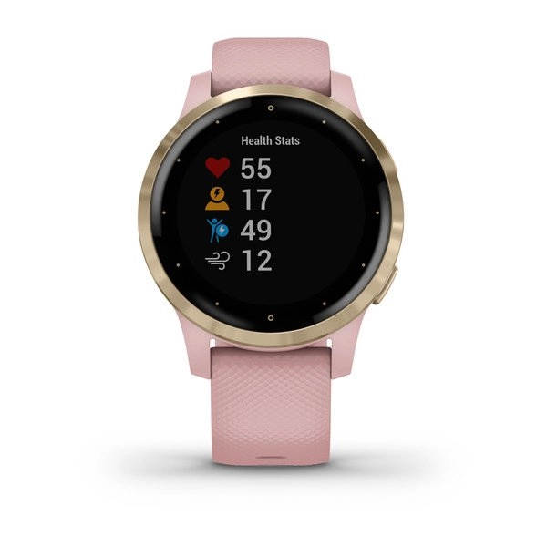 Смарт часы Garmin VIVOACTIVE 4S Light Gold Stainless Steel Bezel with Dust Rose Case and Silicone Band недорого