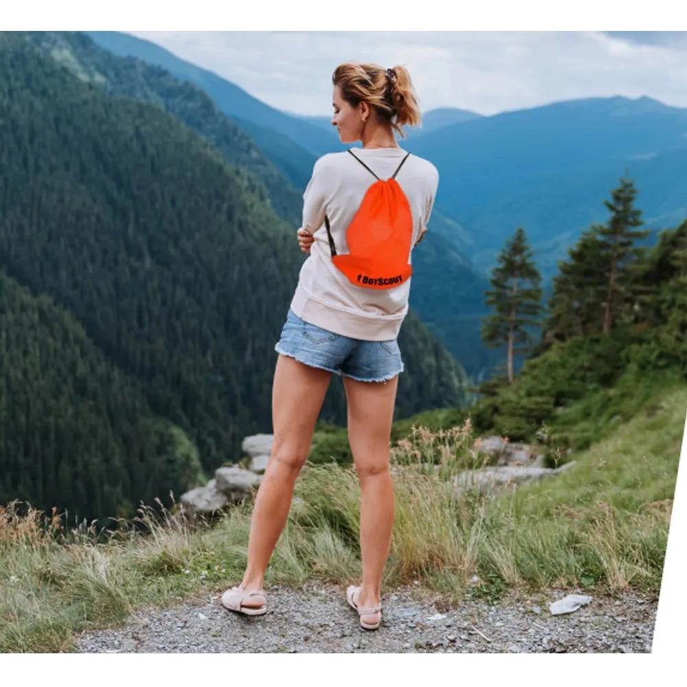 BoyScout 10 kggaccha issiq/sovuq mahsulotlarni tashish uchun termoryukzagi, 32x42 sm arzon