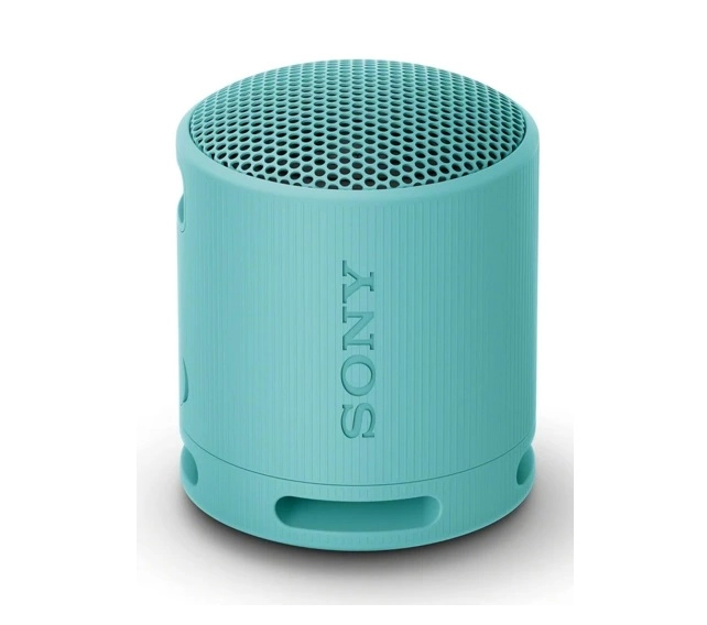 Портативная акустика Sony SRS-XB100 синий купить