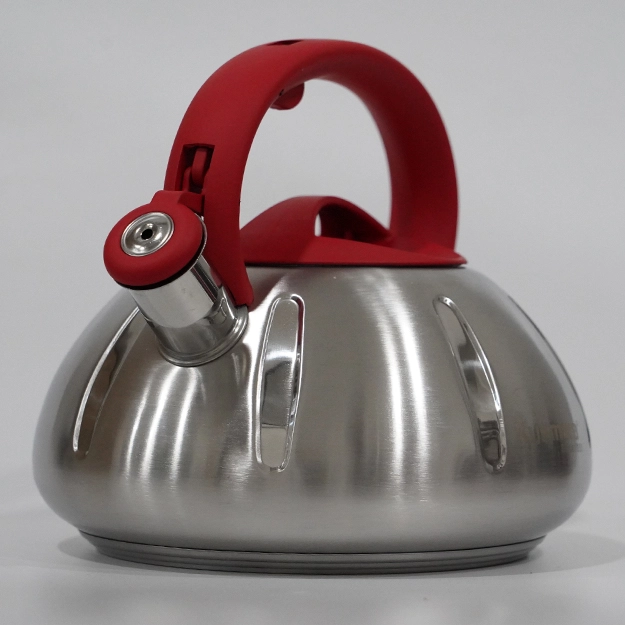 Чайник нержавейка стали с разноцветный ручкой Kukmara недорого