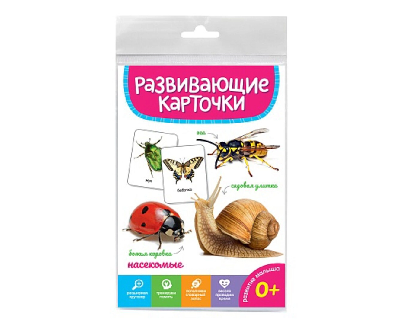 Развивающие карточки: Божья коровка насекомые sotib olish