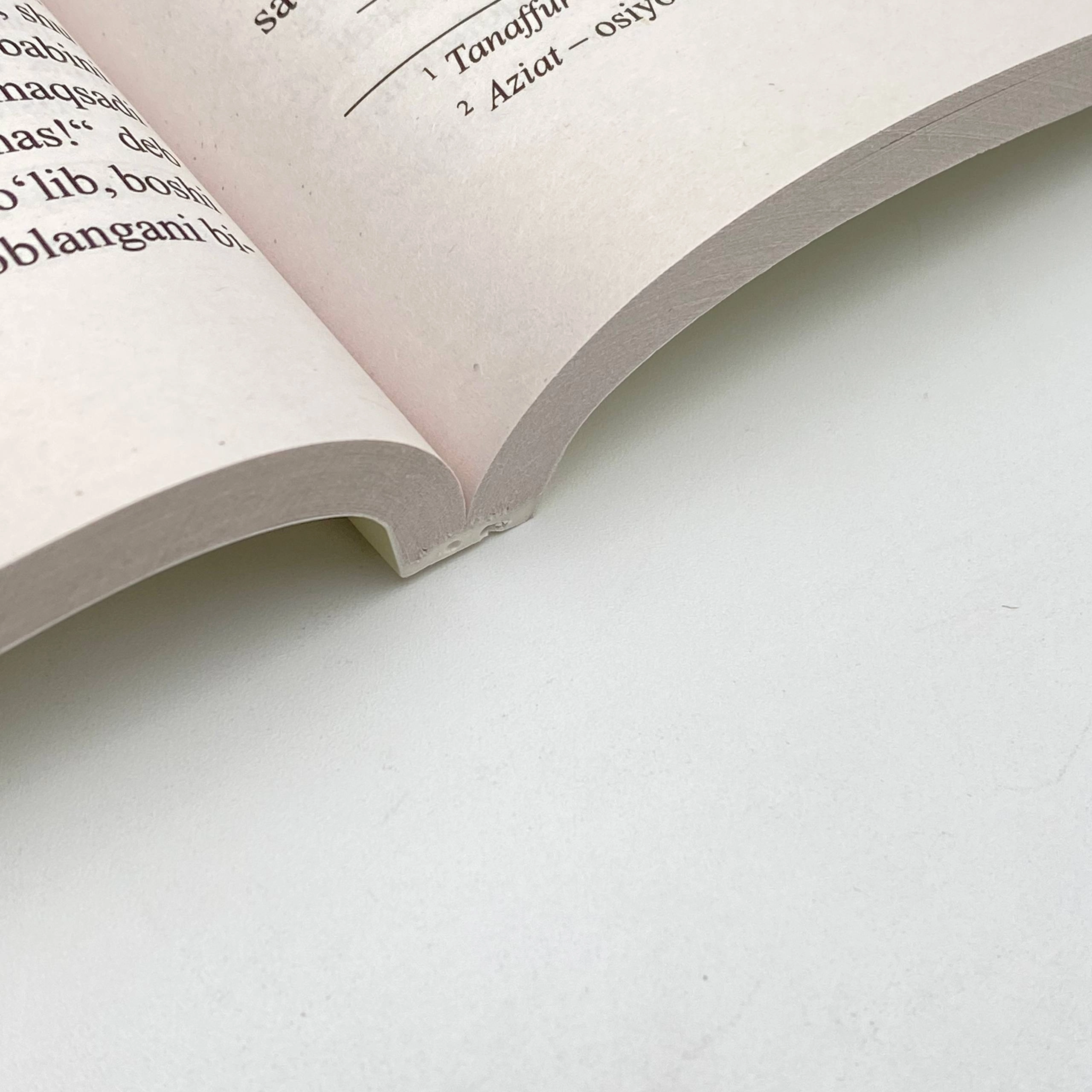 Cho&lsquo;lpon: Kecha va Kunduz (Ziyo nashr) onlayn