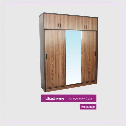 Шкаф купе Флоренсия купить