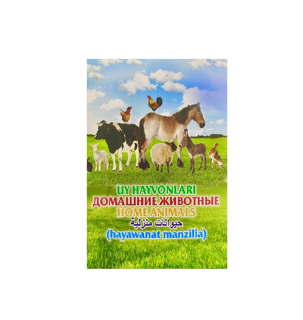 Карточки для развития и обучения детей: Домашние животные купить
