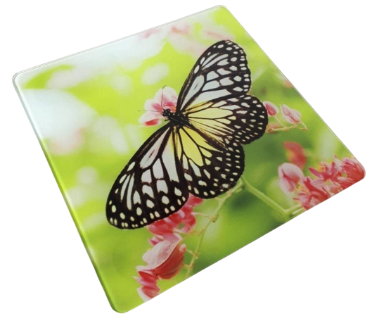 Весы электронные A110  PowerGym купить