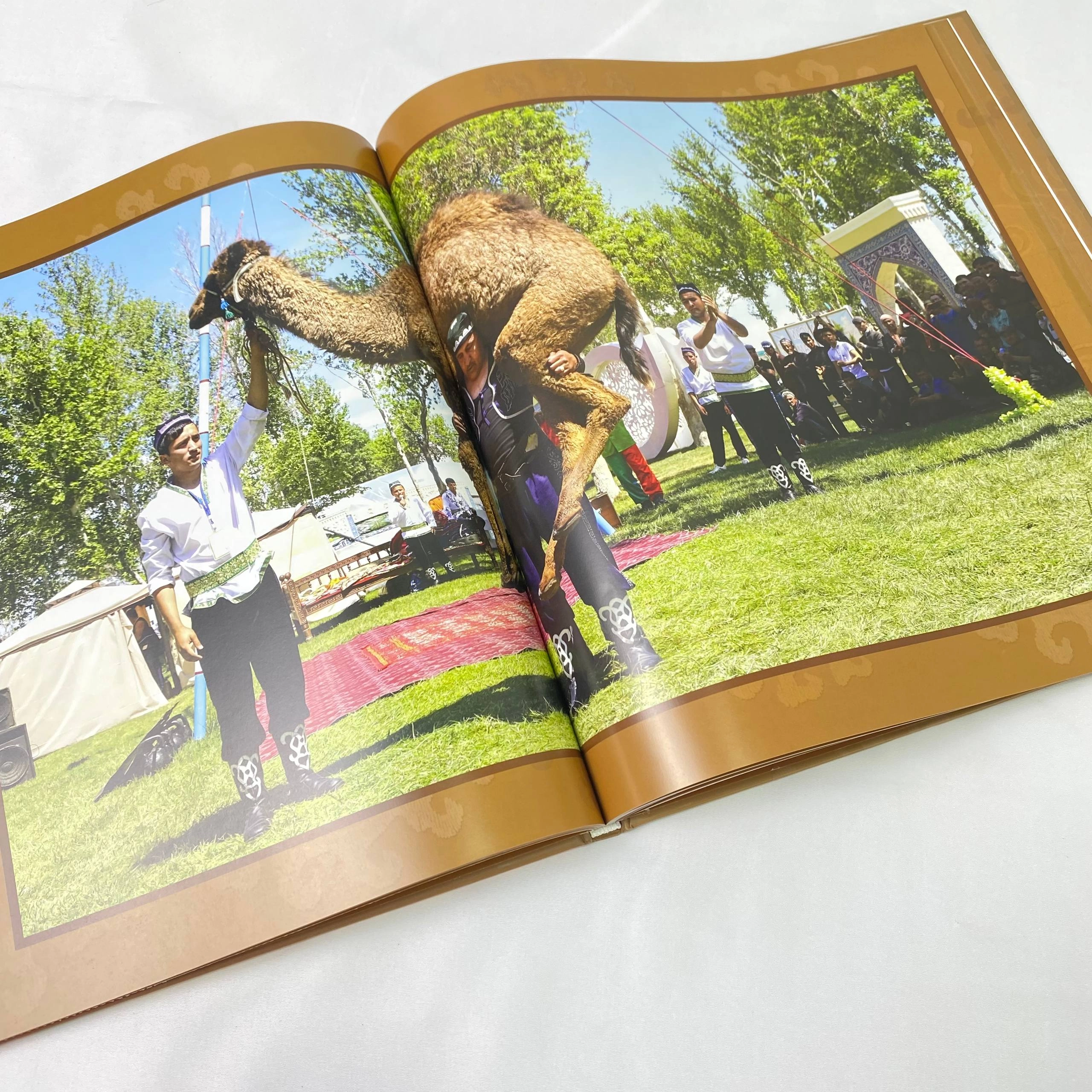 Albom Book: Surkhandarya the Hidden Uzbekistan (Eng-рус) onlayn