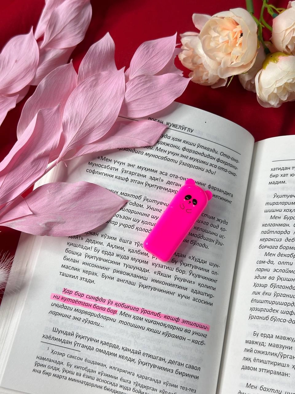 Dog'an Jujelo'g'lu: Mehr bering menga, muallim tez yetkazib berish