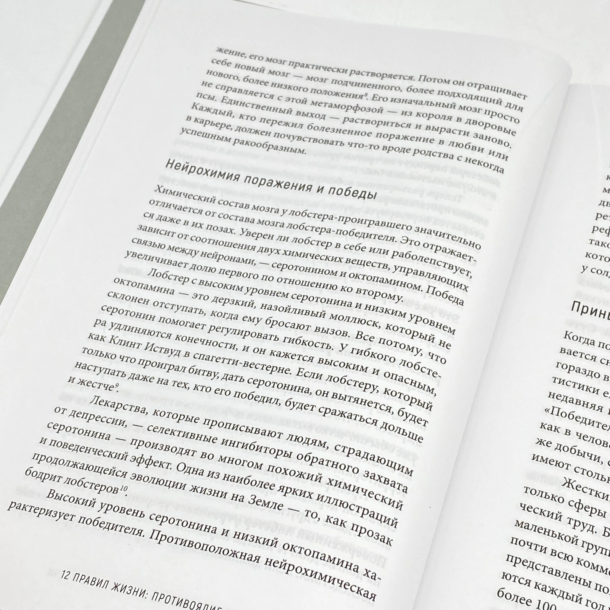 Джордан Питерсон: 12 правил жизни. Противоядие от хаоса (А4) yetkazib berish