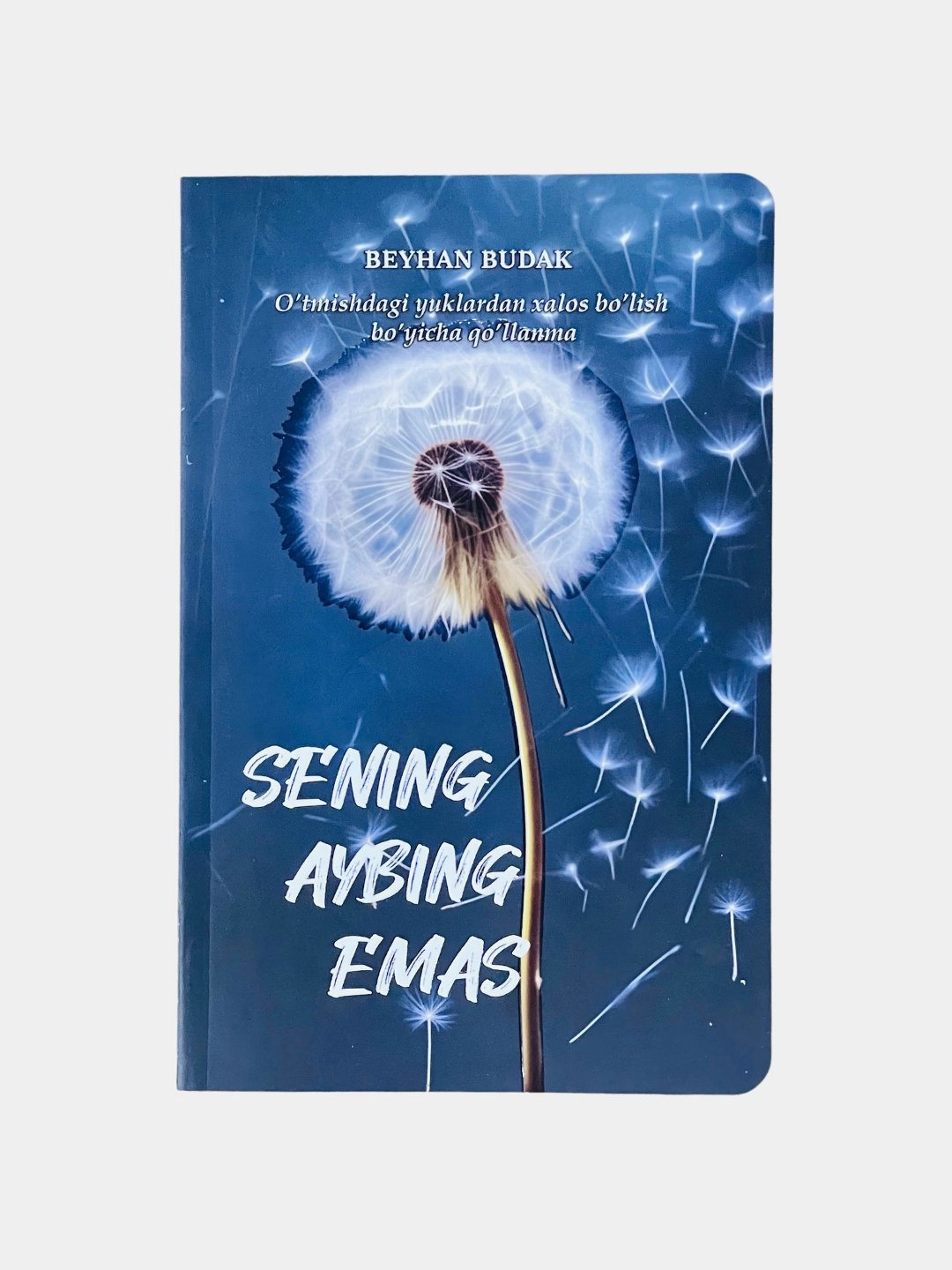 Beyhan Budak: Sening aybing emas sotib olish