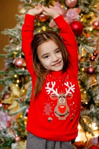 Свитшот Ertex "Рудольф" Красный (S-XXL) рассрочка