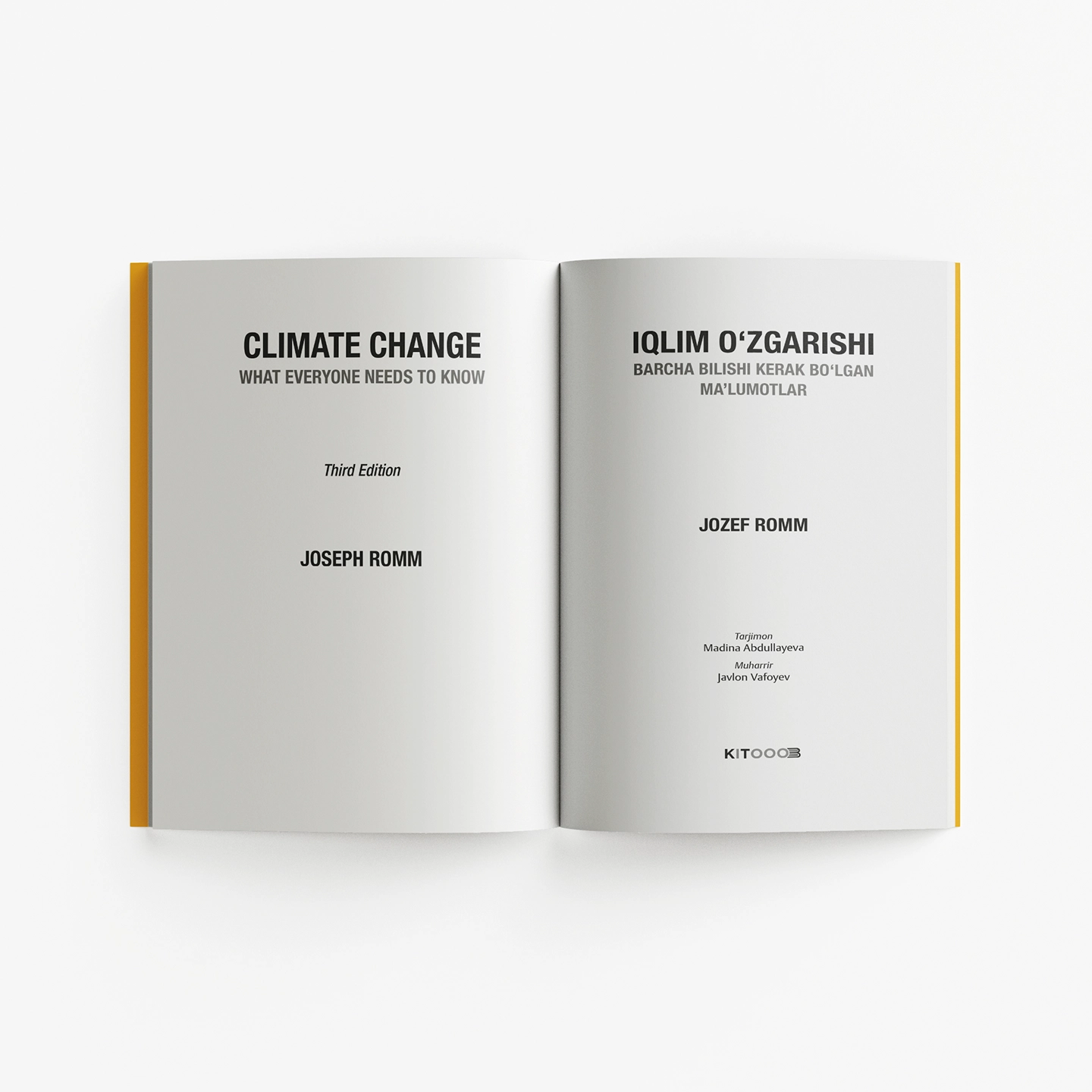 Jozef Romm: Iqlim o'zgarishi bo'lib to'lash