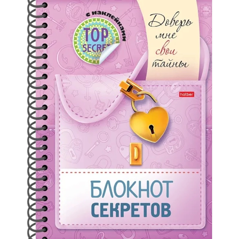 Книжка "Блокнот секретов" с наклейками Доверь мне свои тайны 48Ктц5нгр30484 купить
