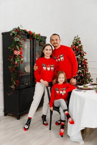 Свитшот "3 гнома" (1-8 лет) arzon