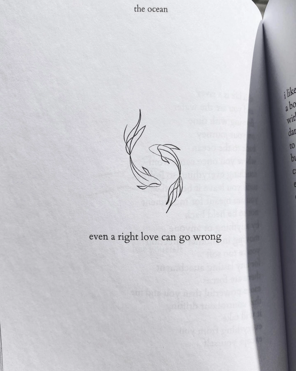 the ocean: poems to let go (the northern collection) в Узбекистане