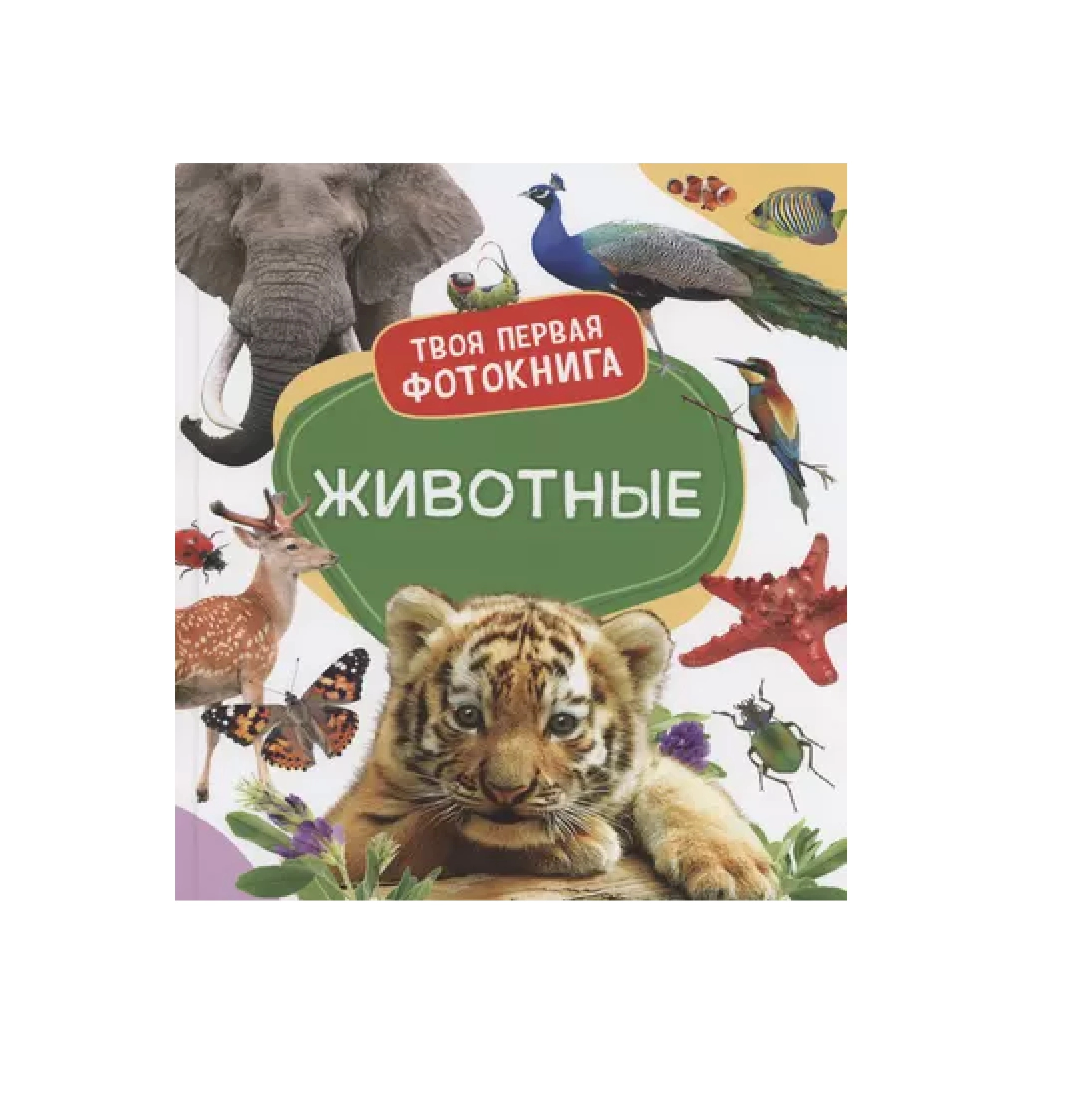 Твоя Первая Фотокнига: Животные sotib olish
