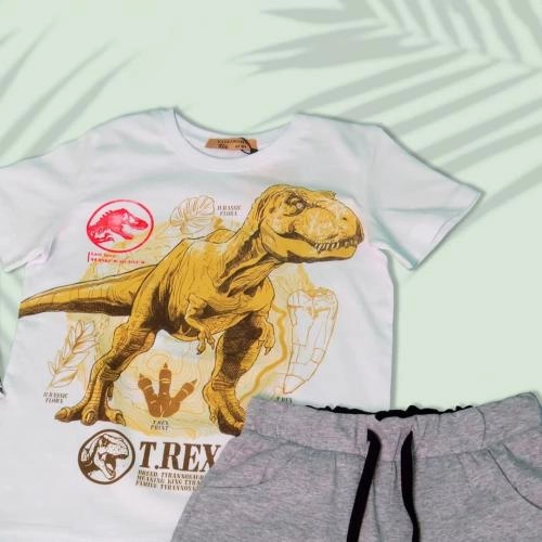 YSK 11116 (Gray) shortigi arzon