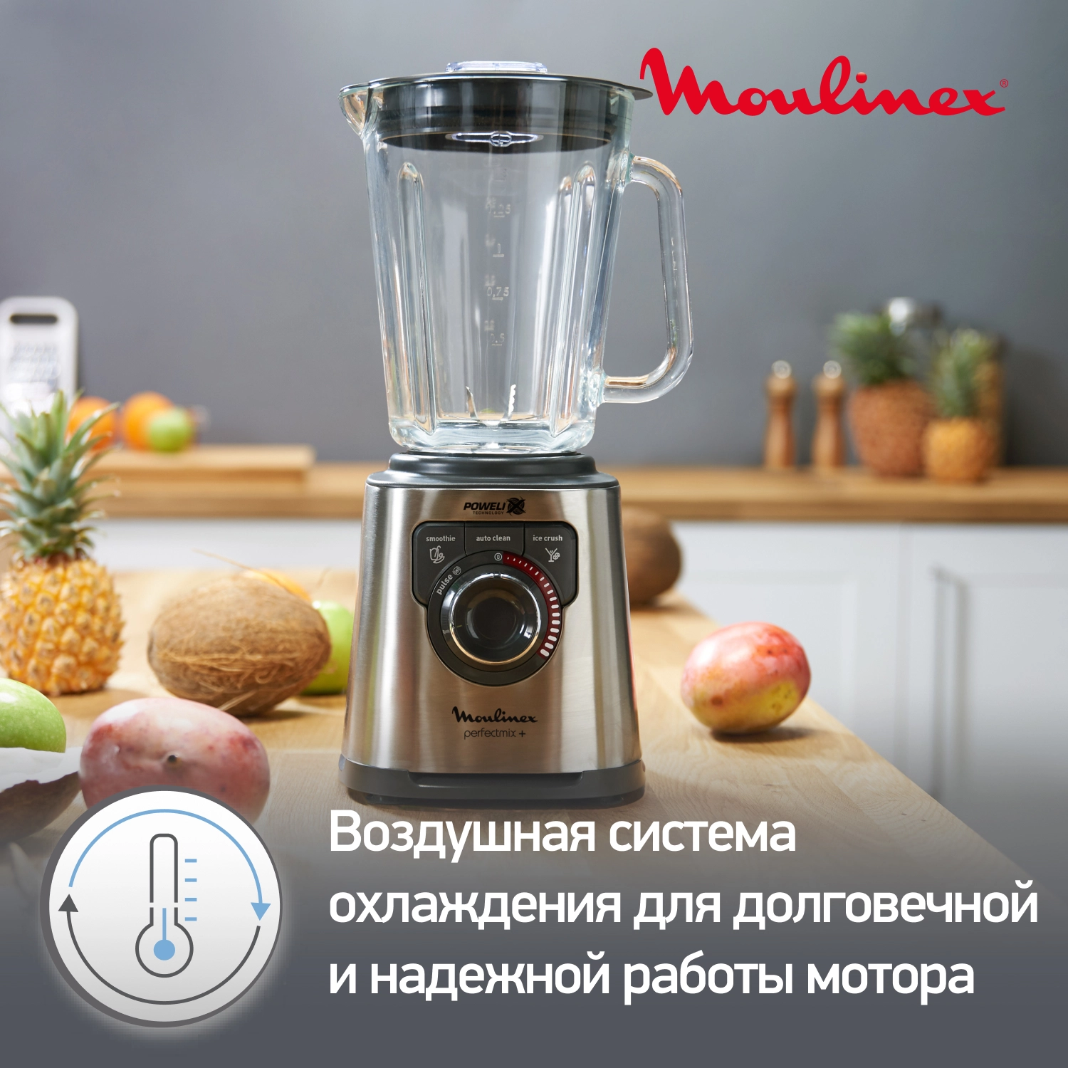 Moulinex LM811D10 blenderi O'zbekistonda