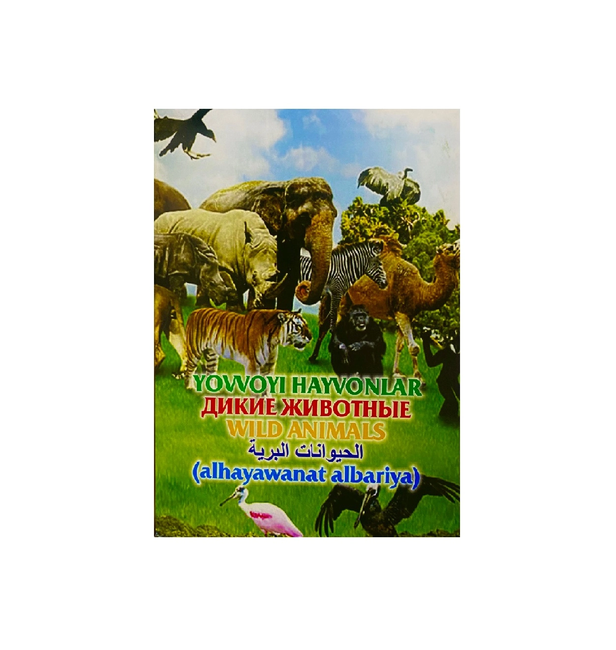 Болалар ривожланиши учун карталар, таълим: Ёввойи Ҳайвонлар купить