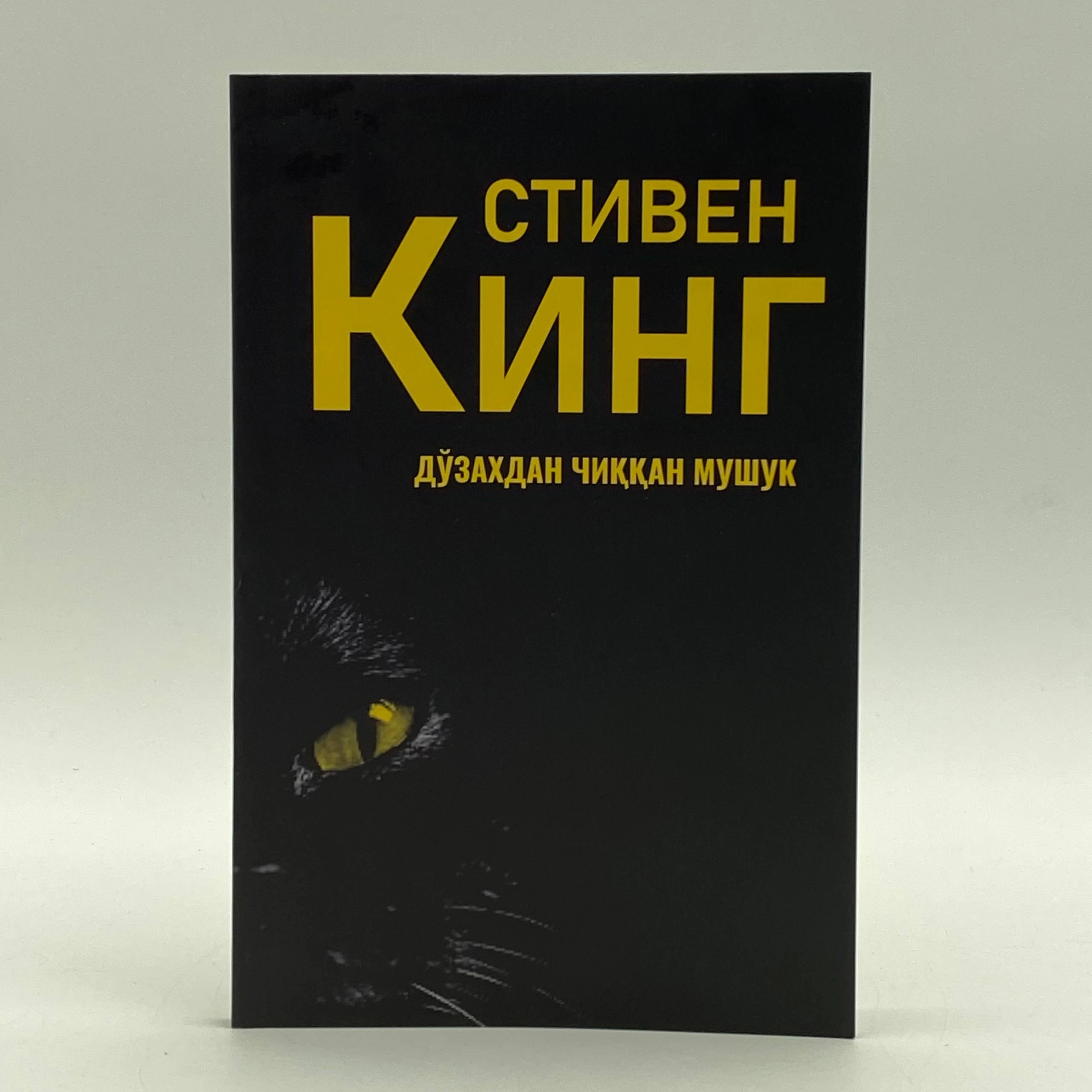 Stiven King: Do'zaxdan chiqqan mushuk sotib olish