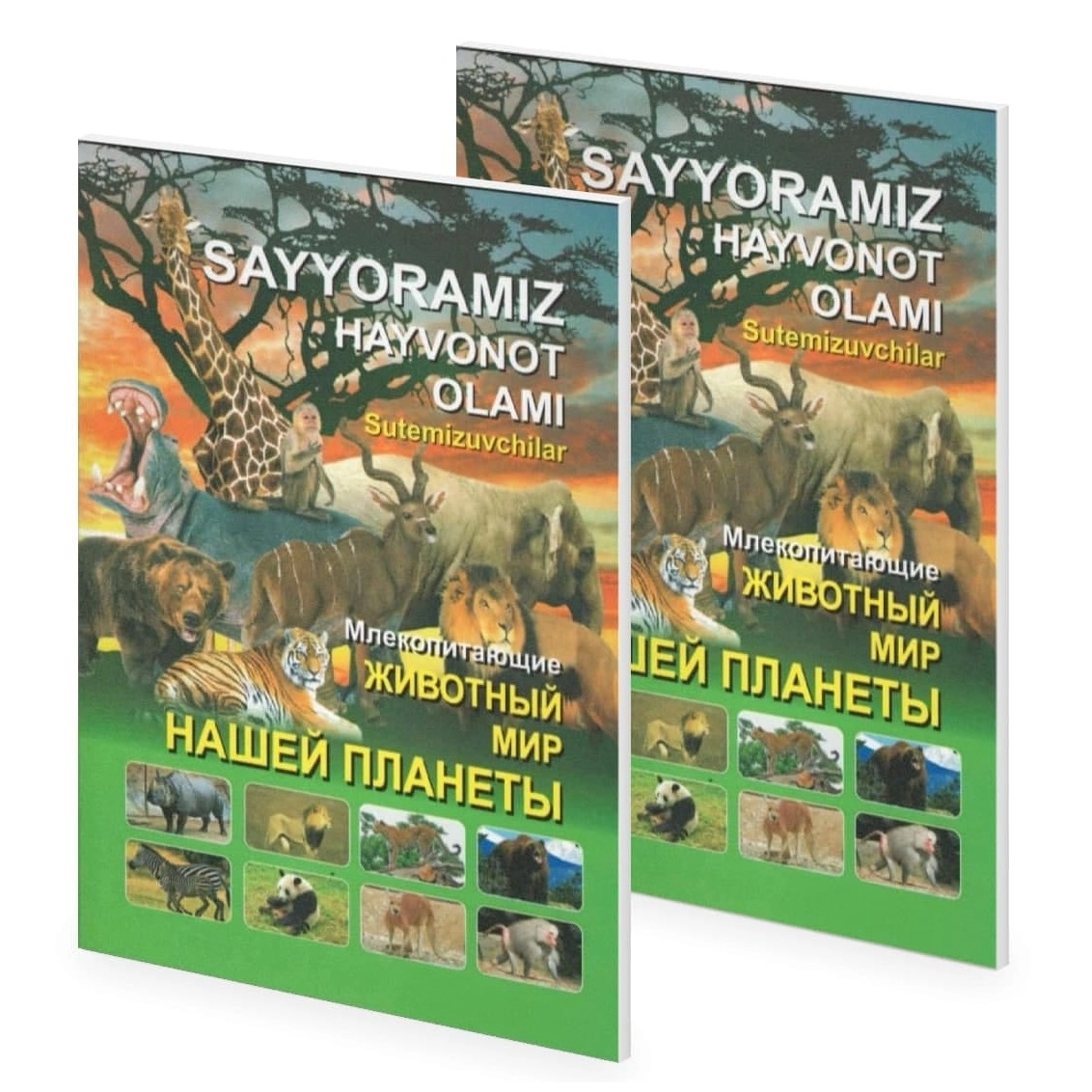 Животный мир нашей планеты: Млекопитающие купить