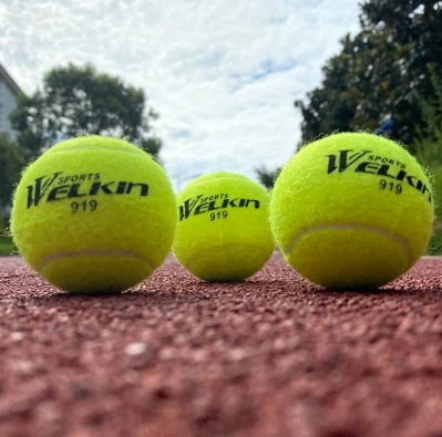 Теннисный мяч PowerGym A186 недорого