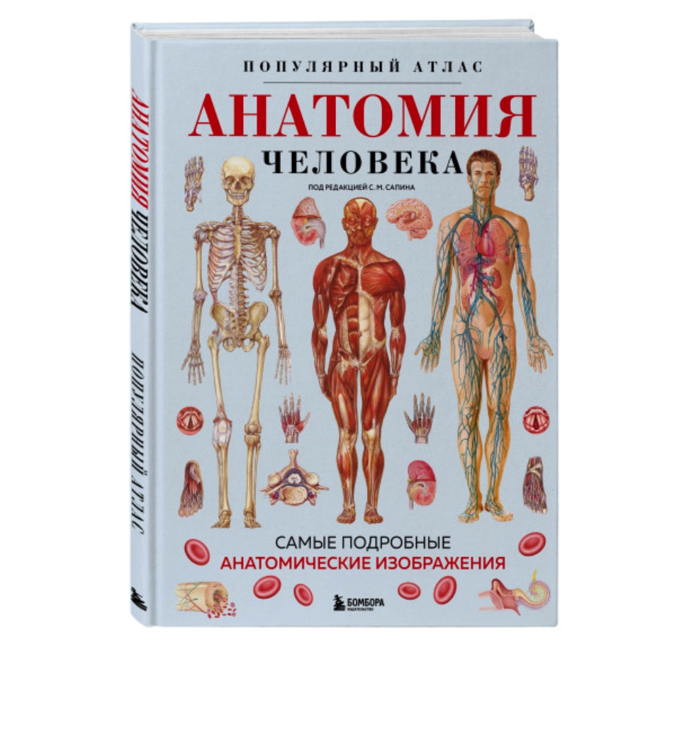 Популярный атлас. Анатомия человека купить