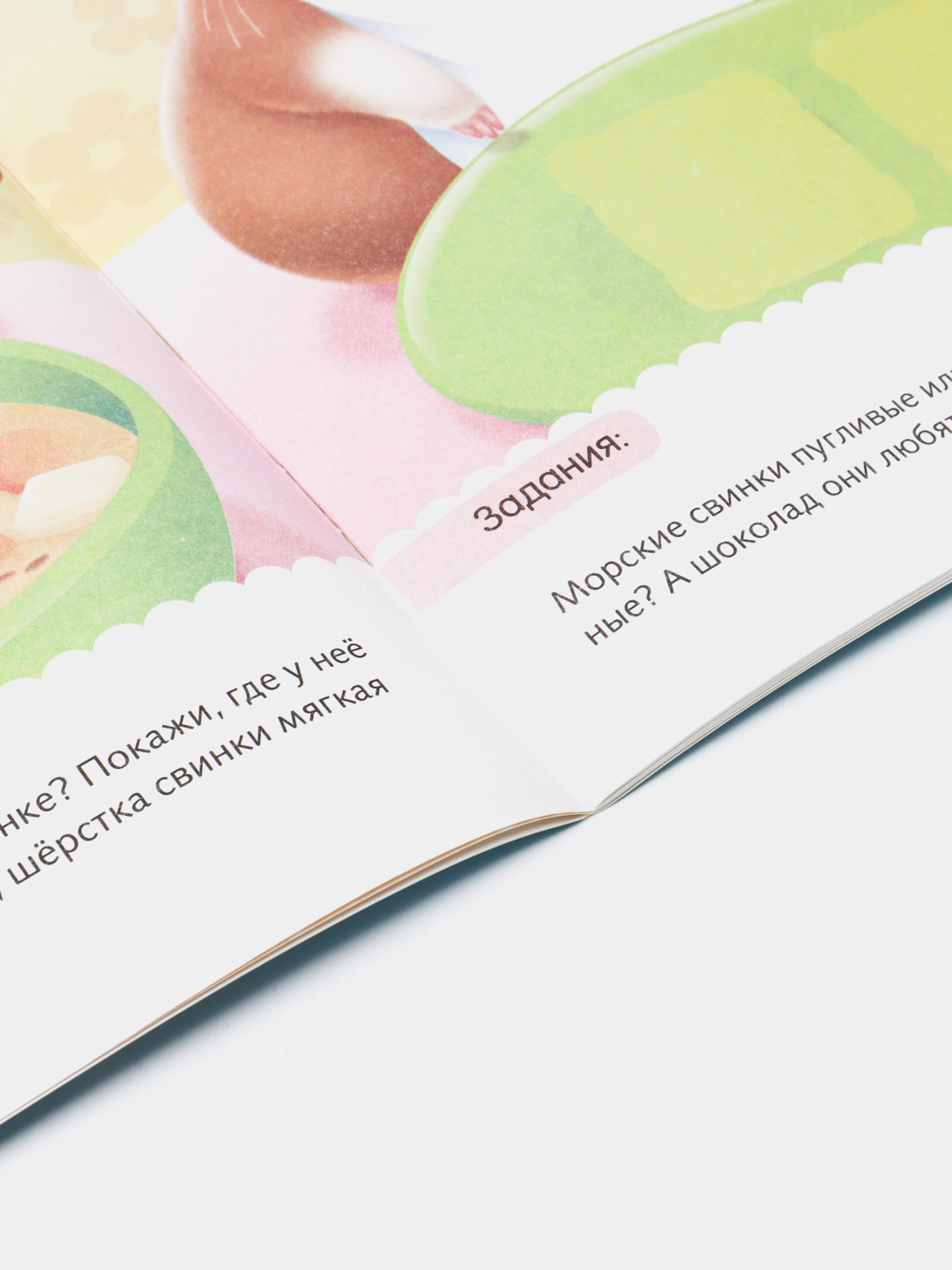 Kitobcha, 8 varaq, А5, "Birinchi vazifalar - Uydagi sevimlilar" 8Кц5н_11886 O'zbekistonda