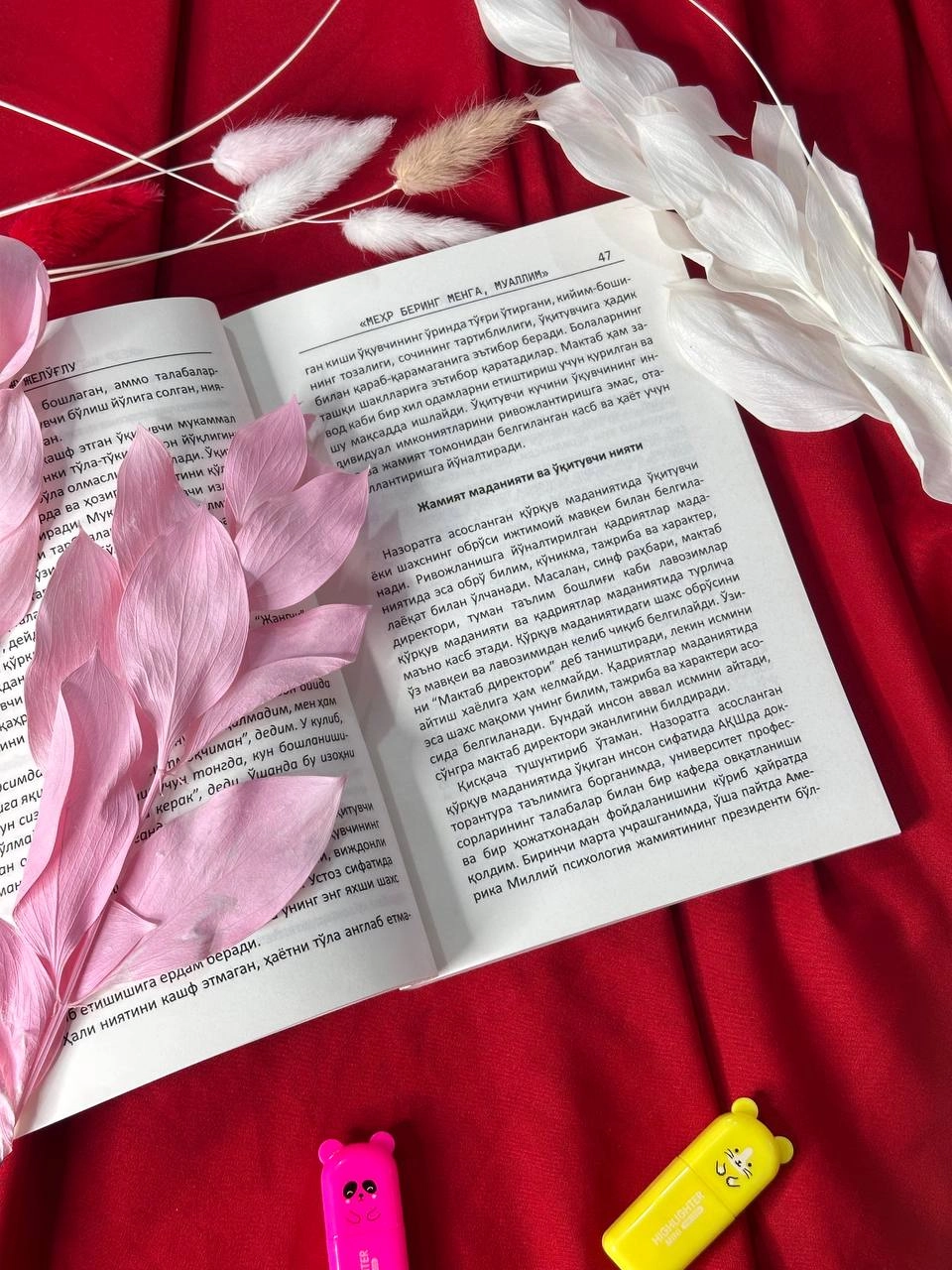 Dog'an Jujelo'g'lu: Mehr bering menga, muallim rasm bilan