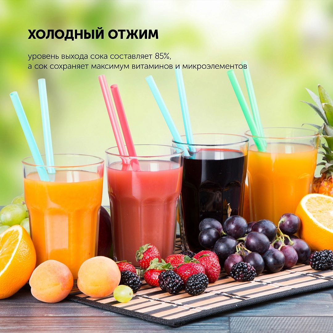 Polaris PSJ 0506 sharbat siqqichi narxi