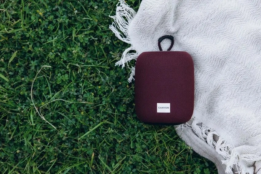 Портативная беспроводная колонка Canyon BSP-8 Красный цена