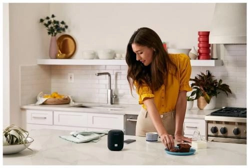 Портативная акустика JBL Link Music доставка