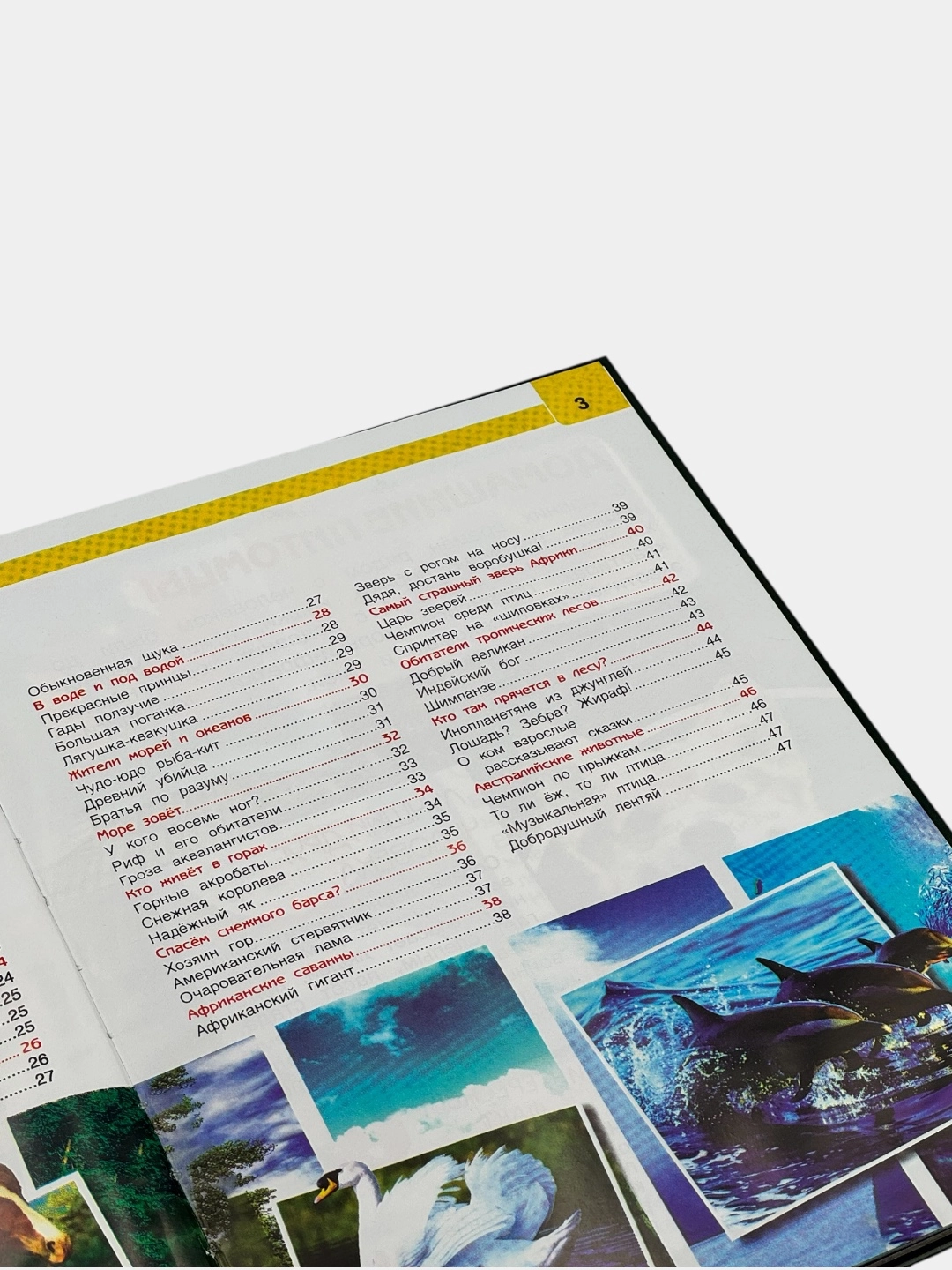 Детская энциклопедия с развивающими заданиями: Животные рассрочка