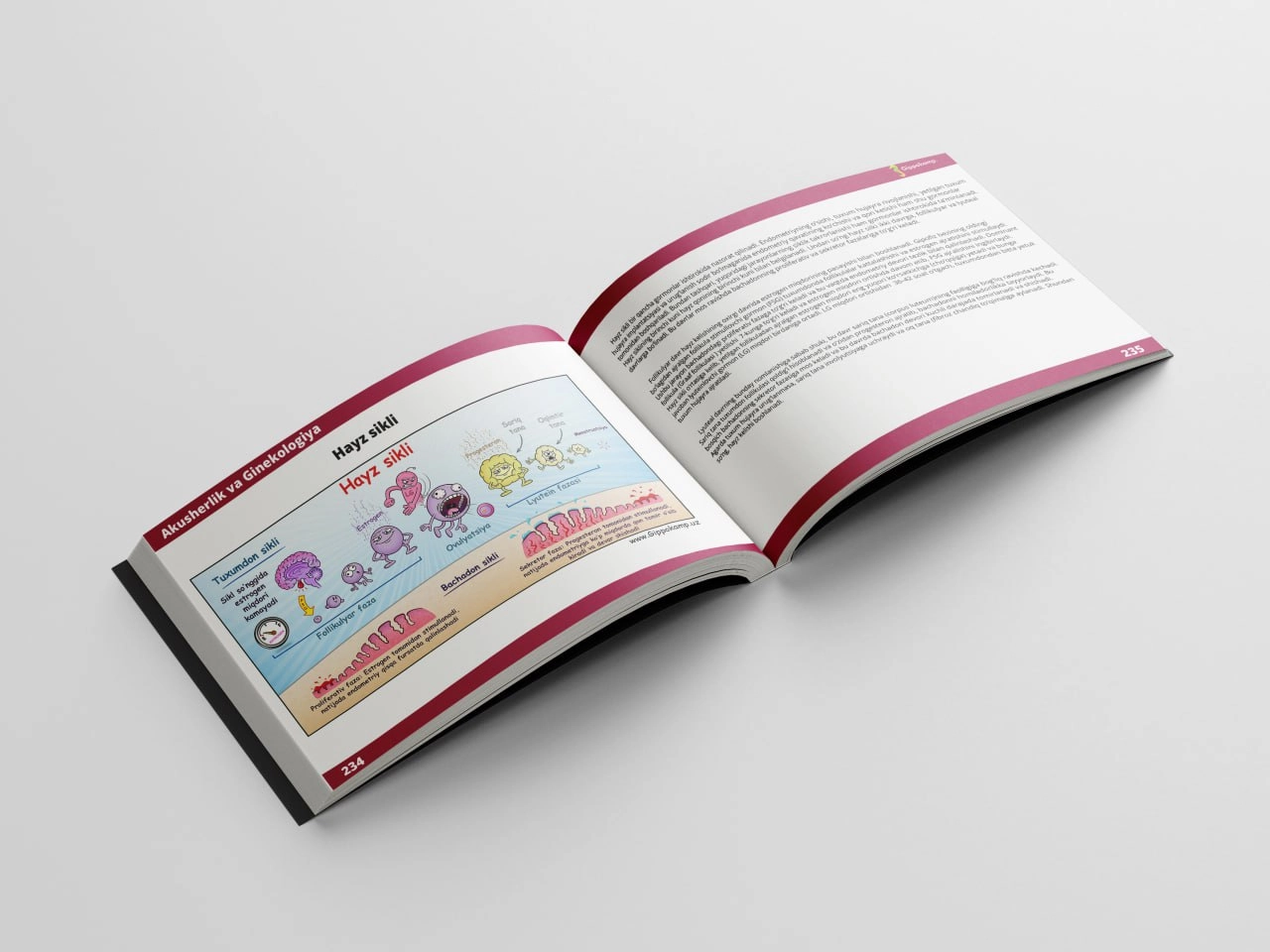 Xorxe Munis: Medkomiks — tibbiyotni o'rganishning qiziqarli usuli xususiyatlar