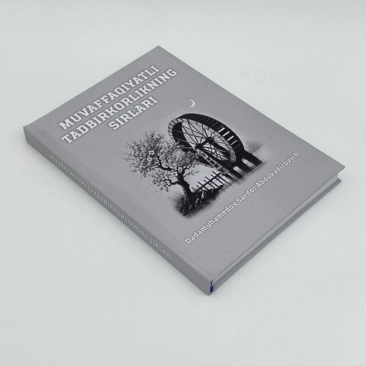 Dadamuhammedov Sardor Abdukadirovich: Muvaffaqiyatli tadbirkorlikning sirlari arzon