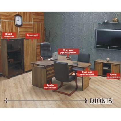 Комплект для руководителя ''Dionis'' - фото №1 Комплект для руководителя ''Dionis''