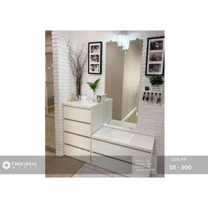 SR-300 shkafi