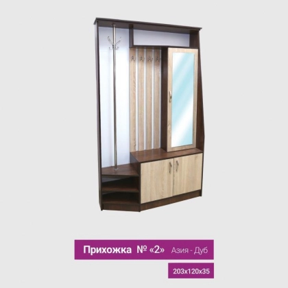 Dahliz uchun shkaf №2 Aziya dub