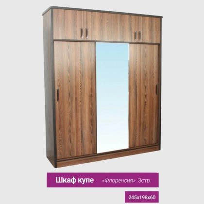 Шкаф купе Флоренсия