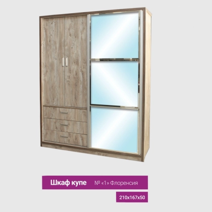 Шкаф купе Флоренсия