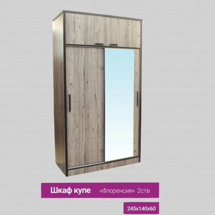 Шкаф купе Флоренсия 
